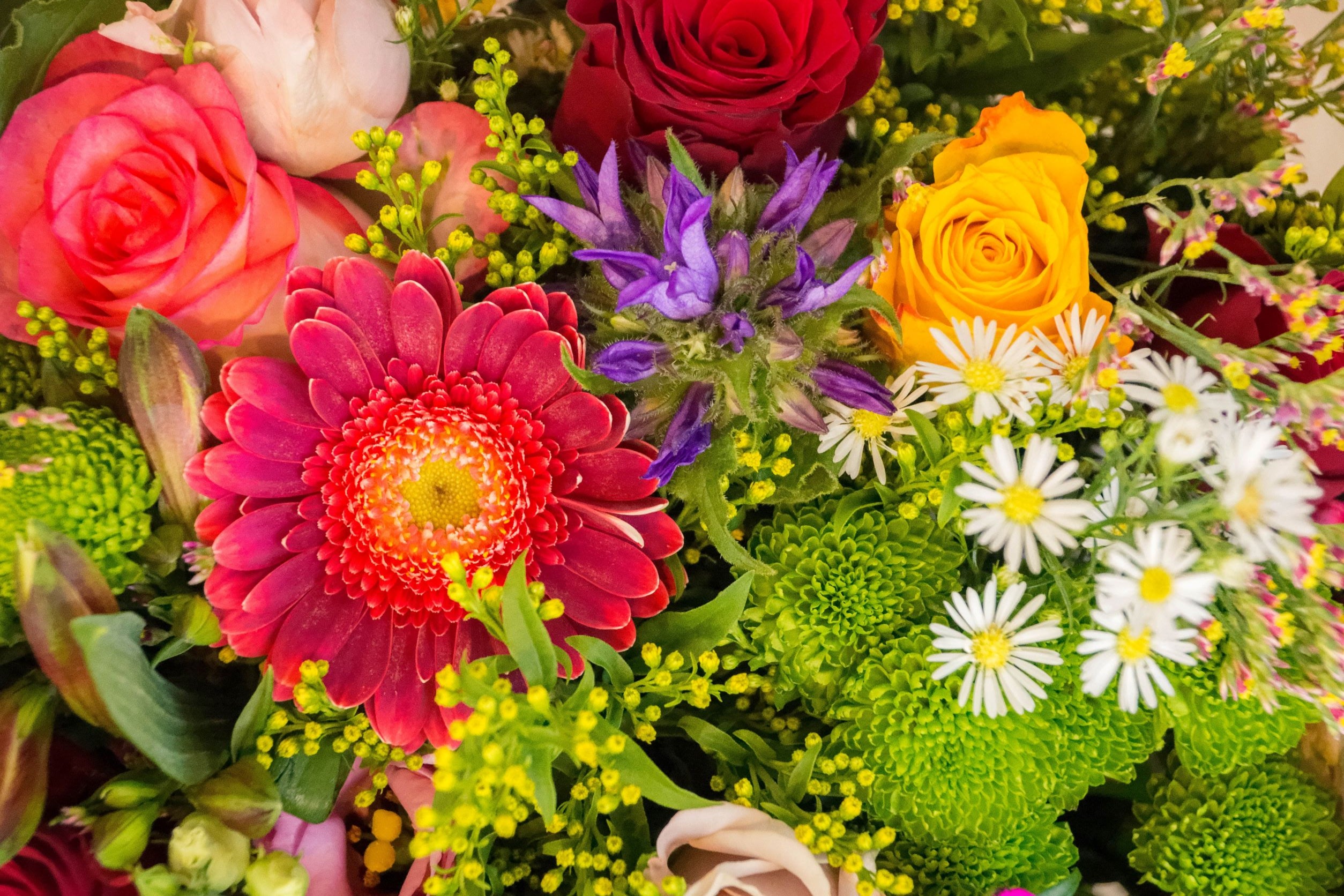 Fall Head Clover Heels With New Colorful Birth Flower Prints!