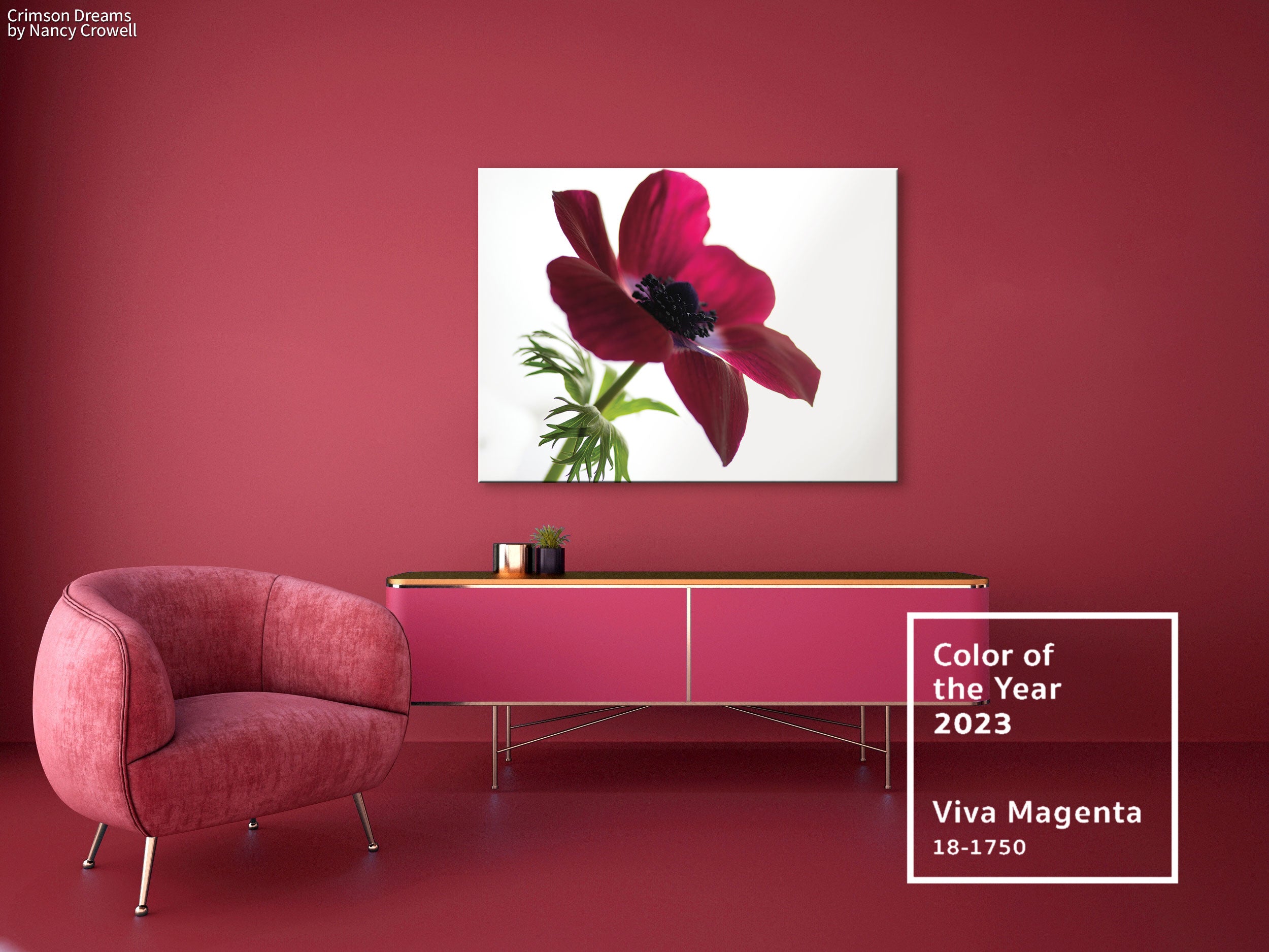 Decorating your Space with Pantone's 2023 Color of the Year: Viva Magenta!