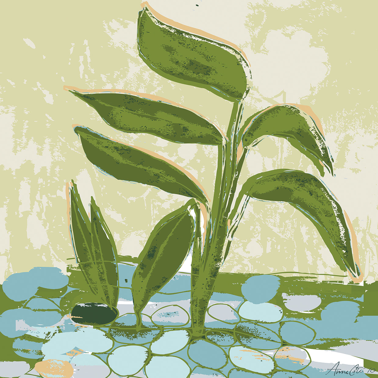 Growing Plants