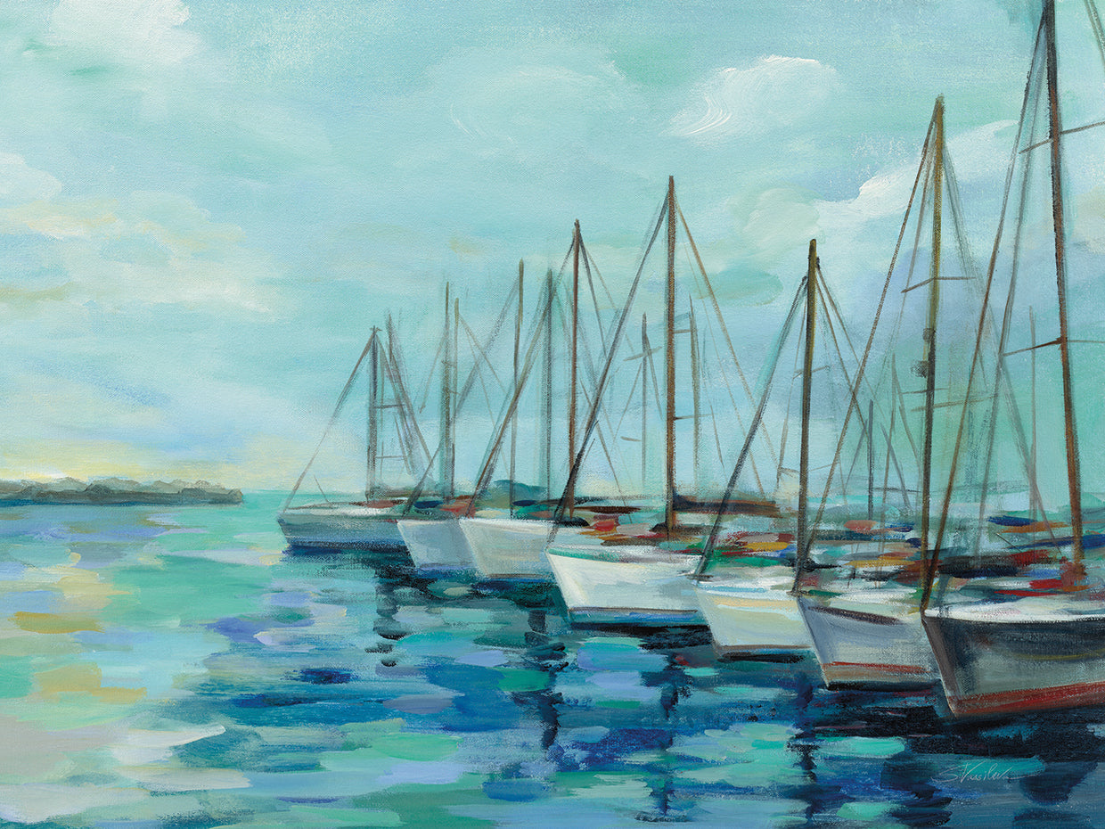 Breakwater and Boatss