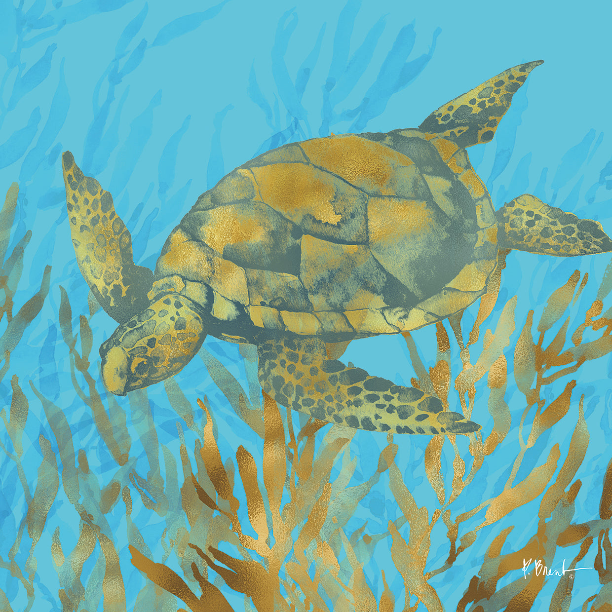 Cedar Key Turtle IVs