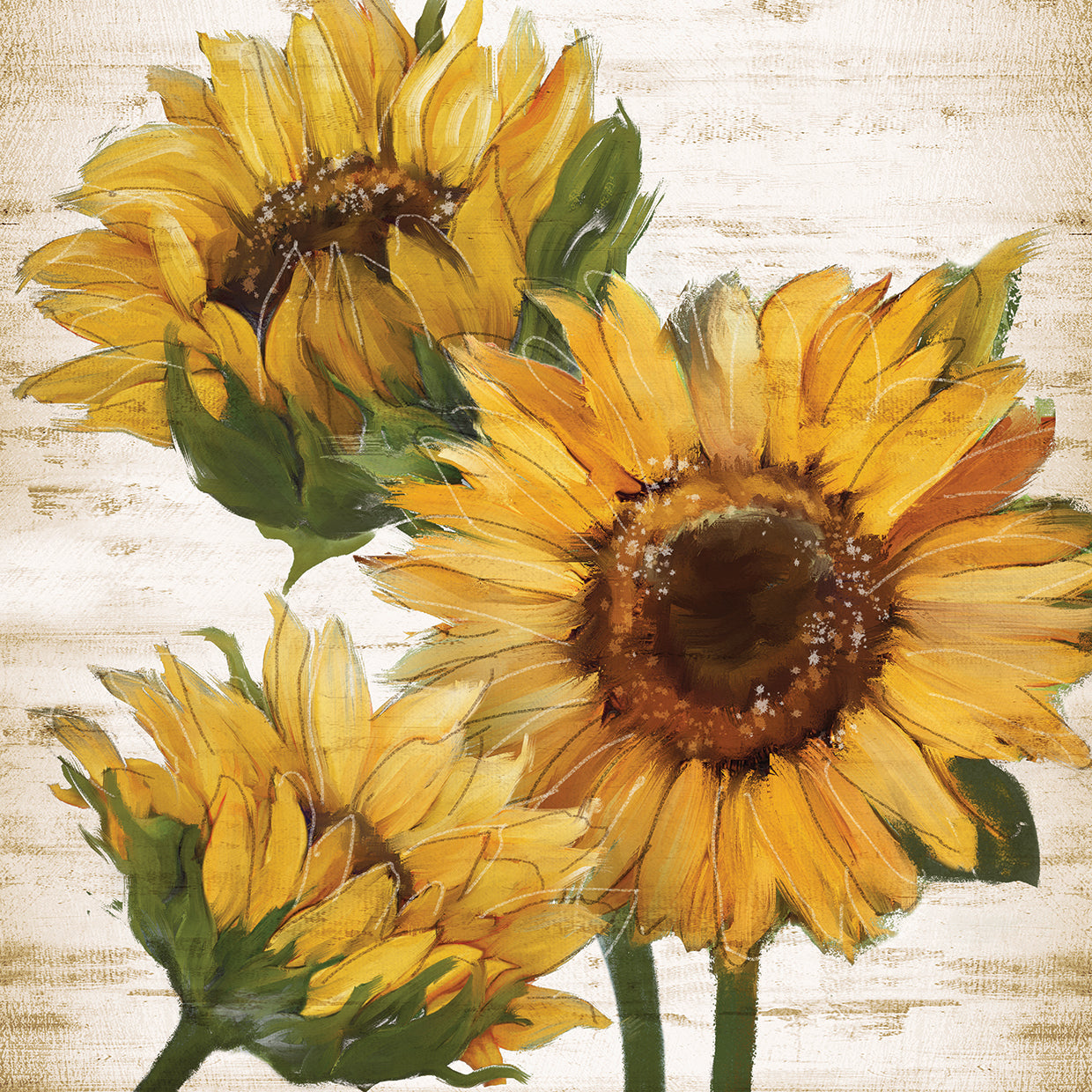 Sunflower Summer I