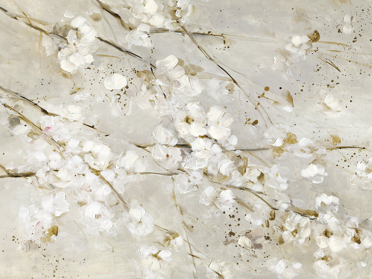 Soft Spring Blossoms