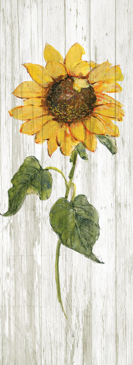 Sunflower in Autumn II