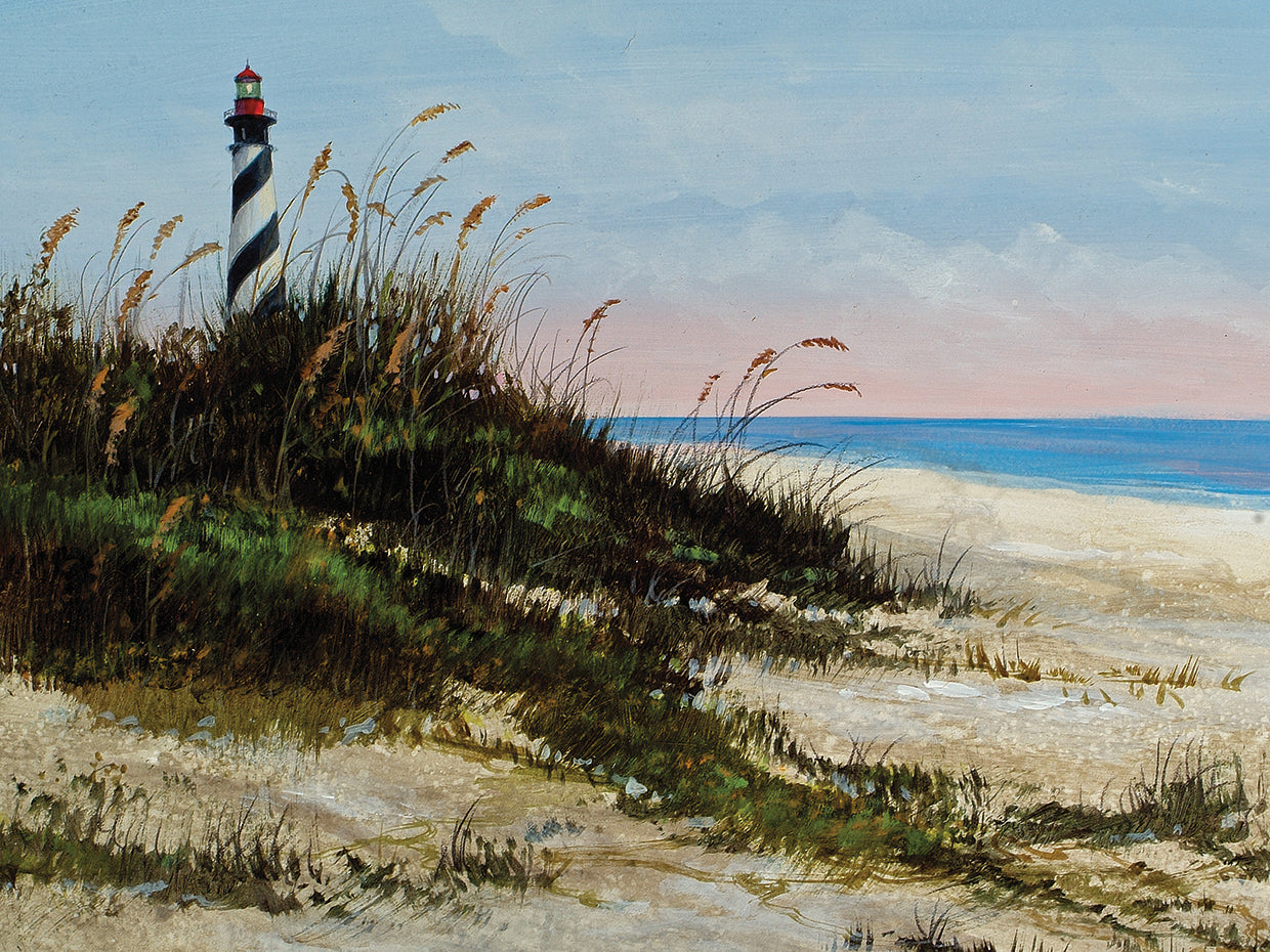 St. Aug Anastasia Island Dunes