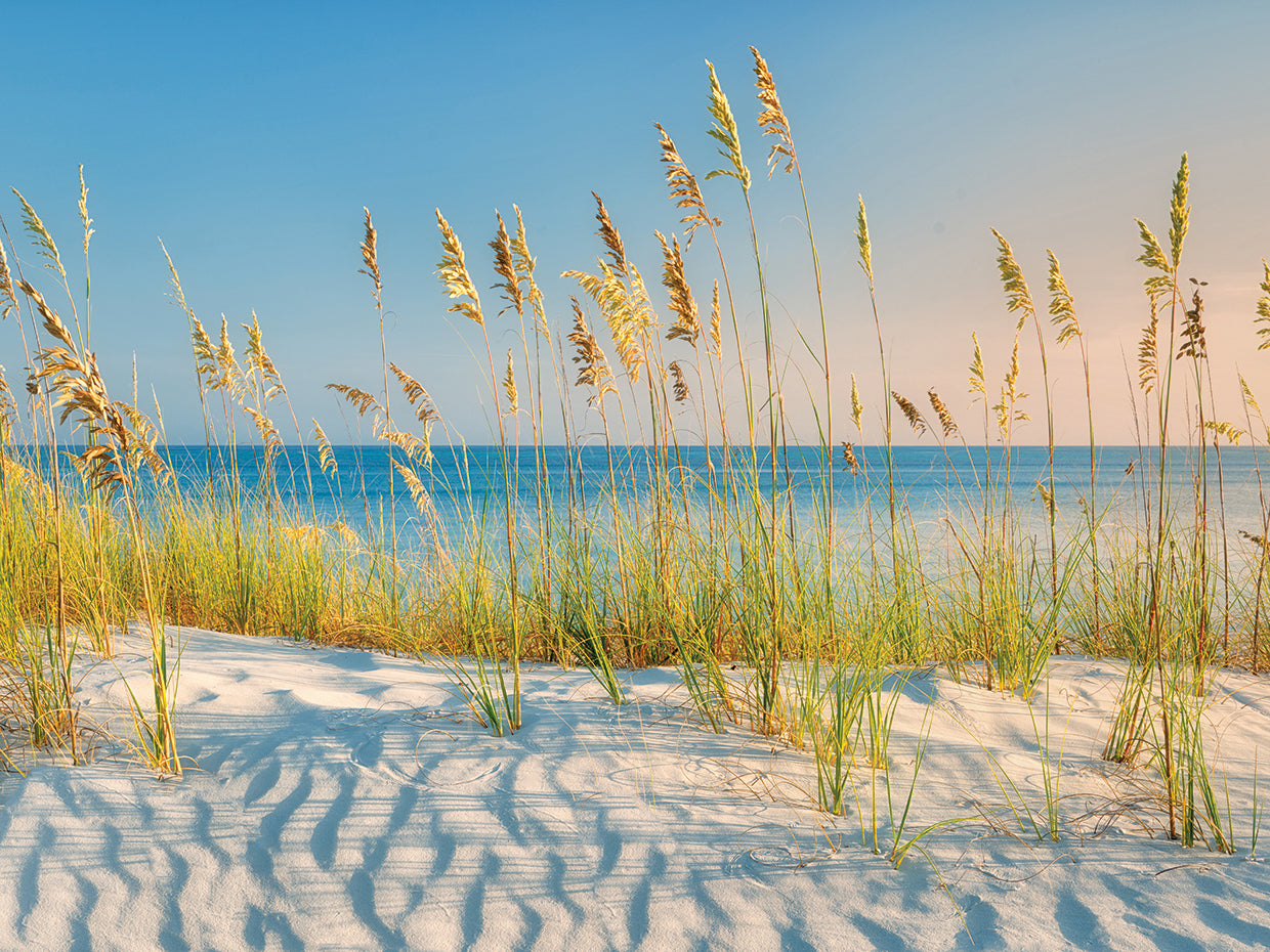 Sand & Sea