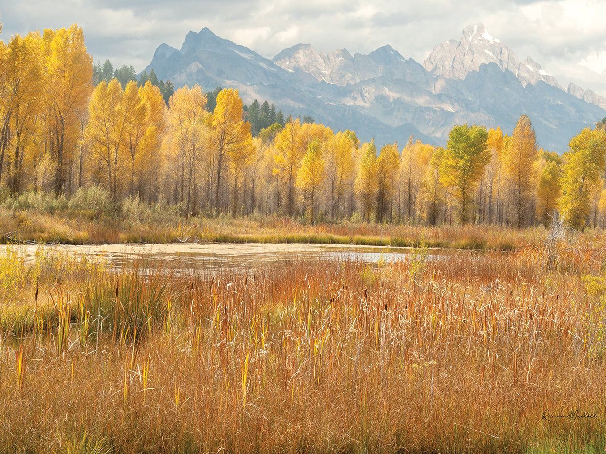 Majestic Tetons