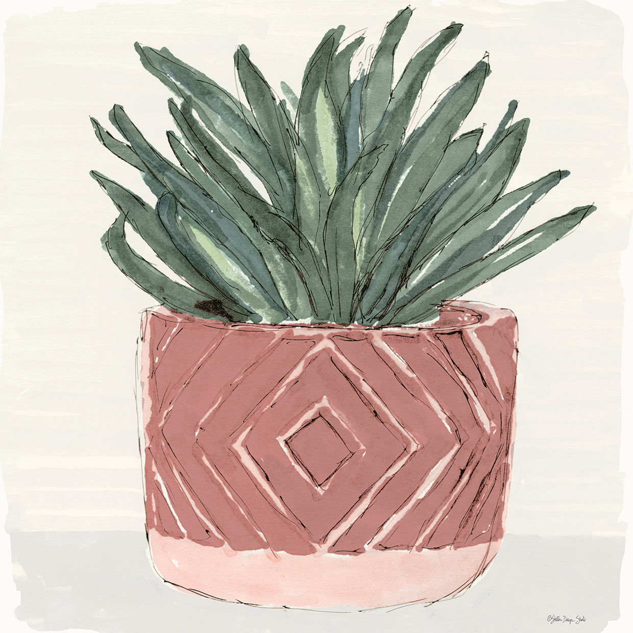 Agave 2