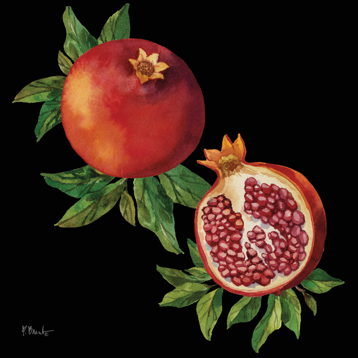Pomegranate Bunch I – Black