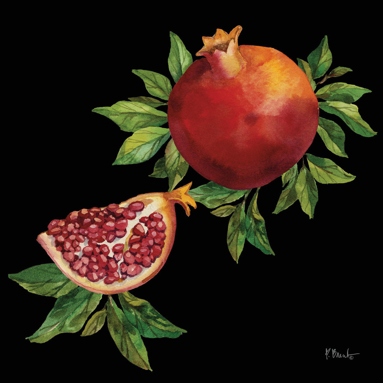 Pomegranate Bunch IV – Black