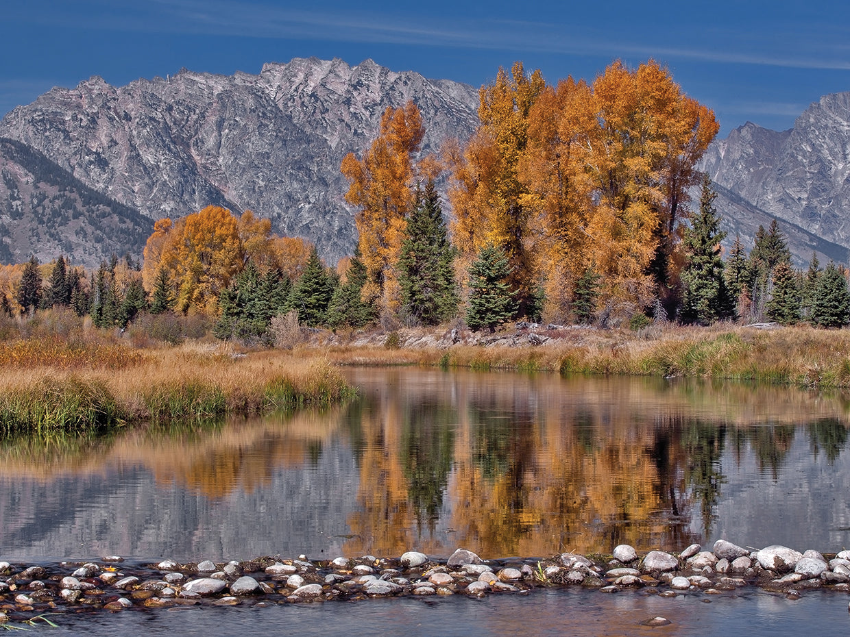 Teton Autumn
