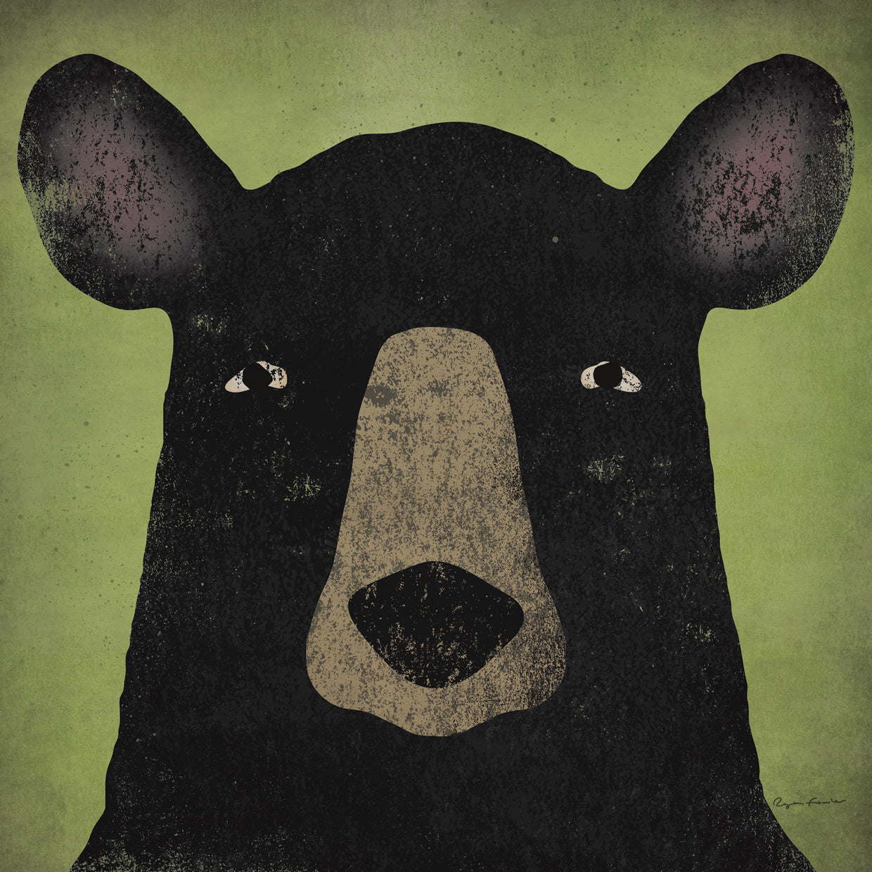 The Black Bear