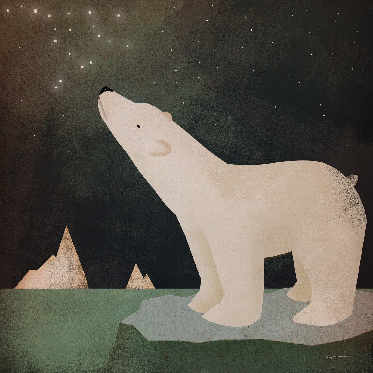 Constellations Polar Bear