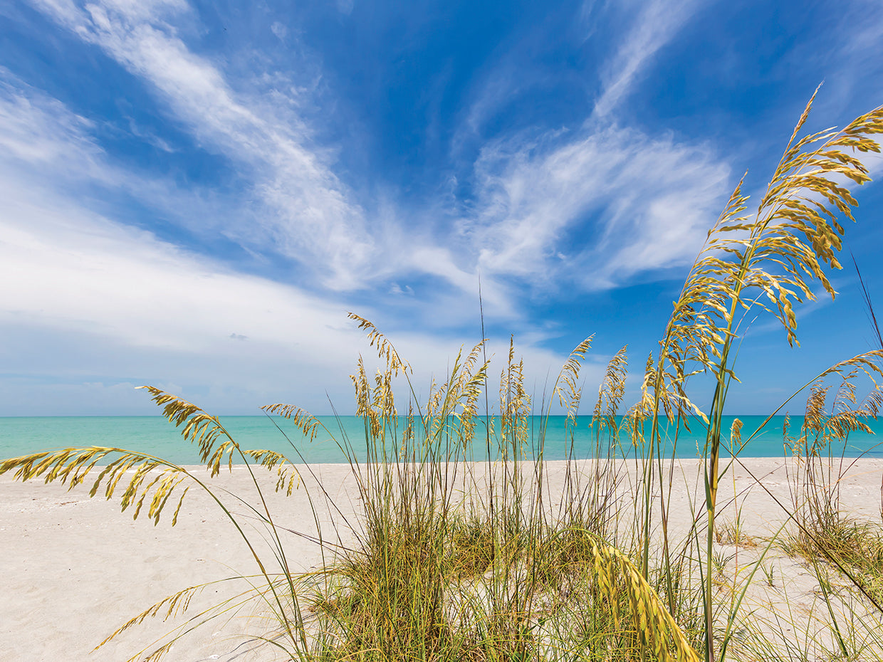 Heavenly calmness on the beach Bright
