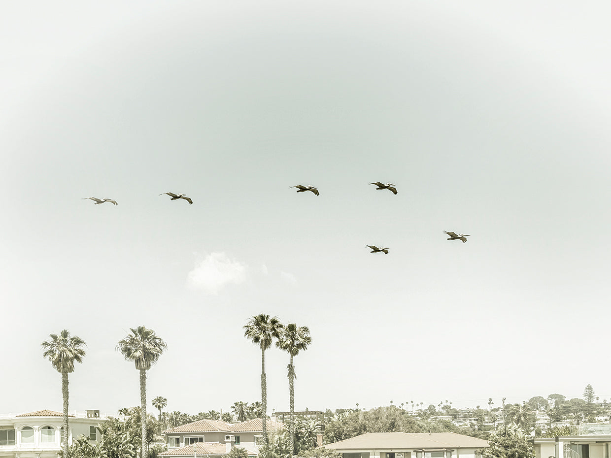 Above the rooftops of San Diego | Vintage