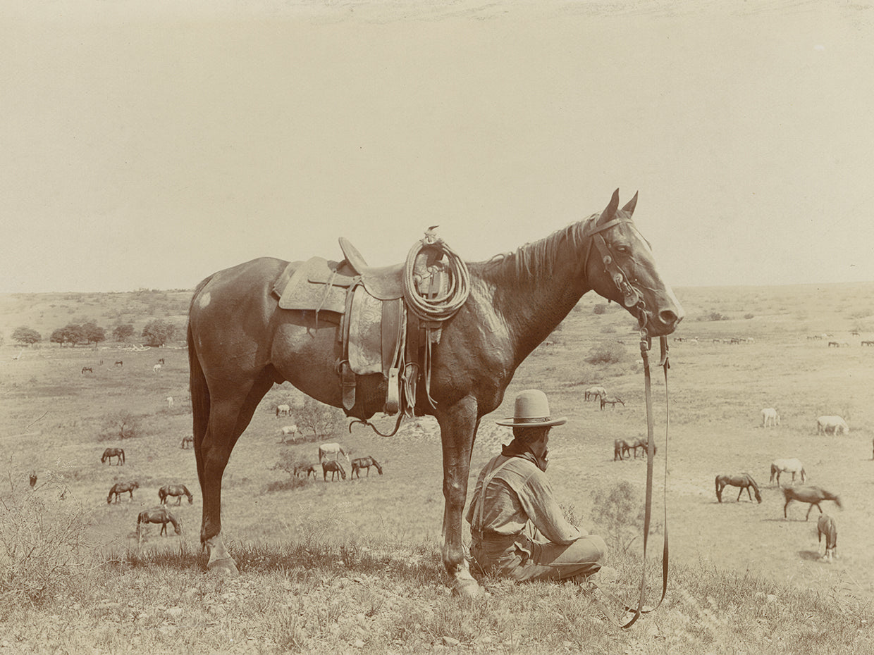 Texas, Cowboy c.1910