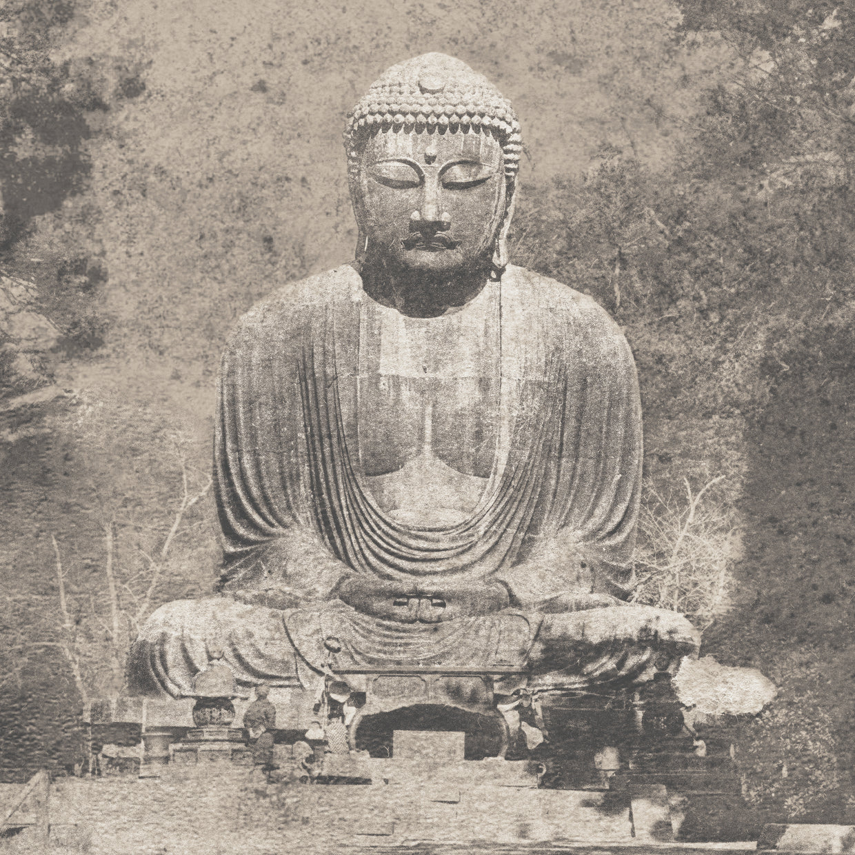 Asian Buddha Crop Neutral