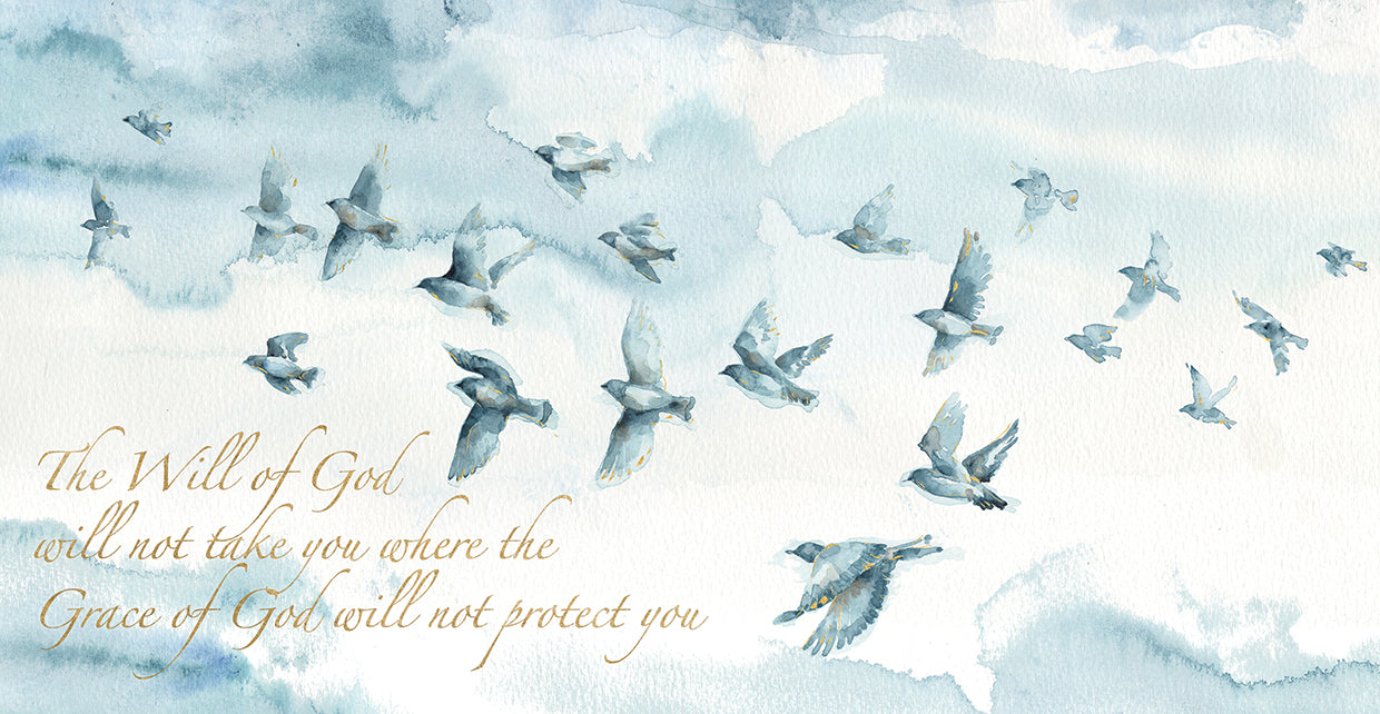 Indigold XIII with Script