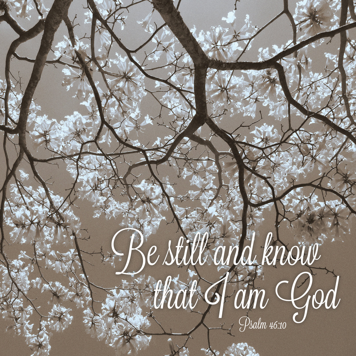 Be Still and Know that I am God