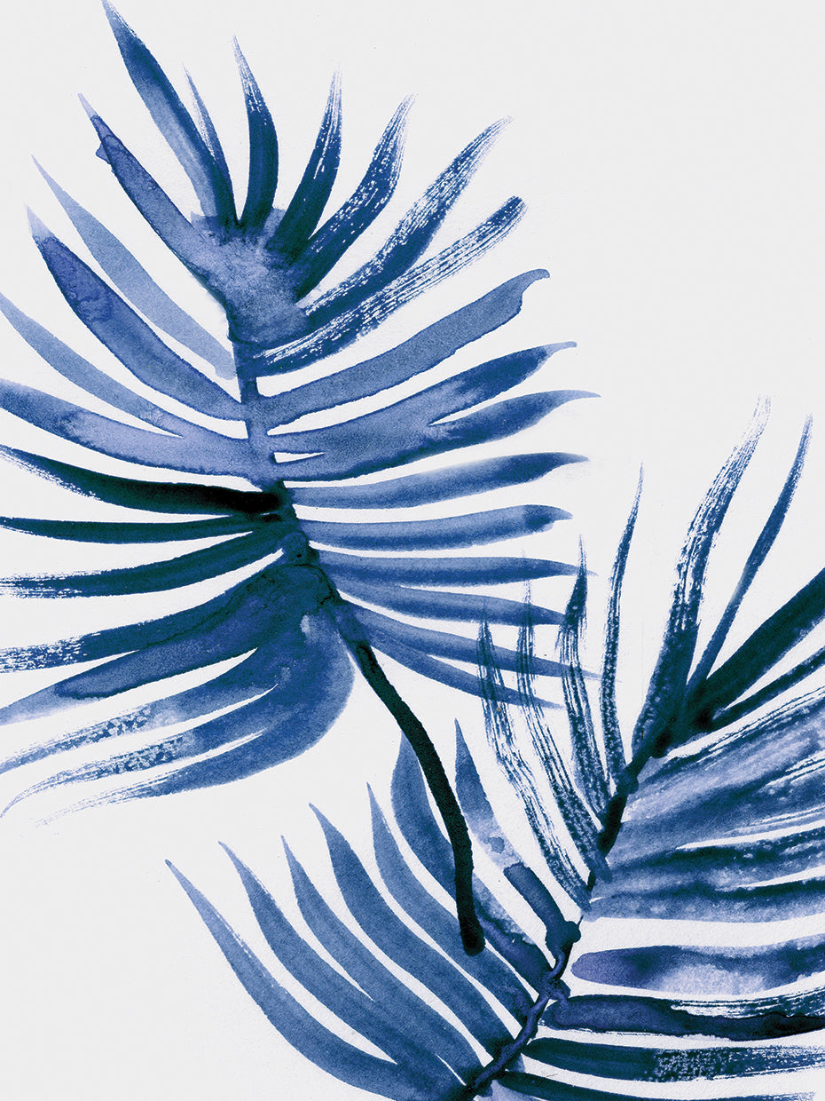 Palms