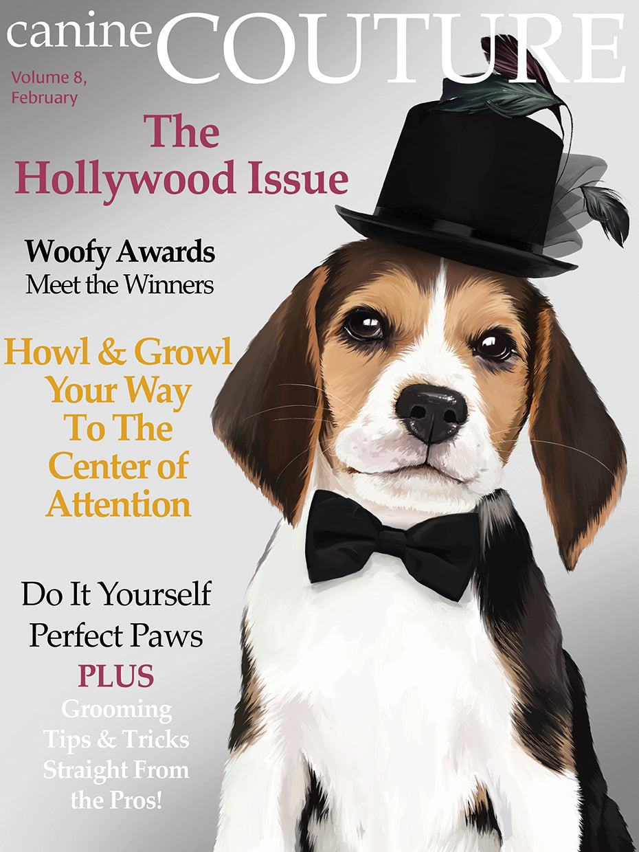 The Hollywood Issue