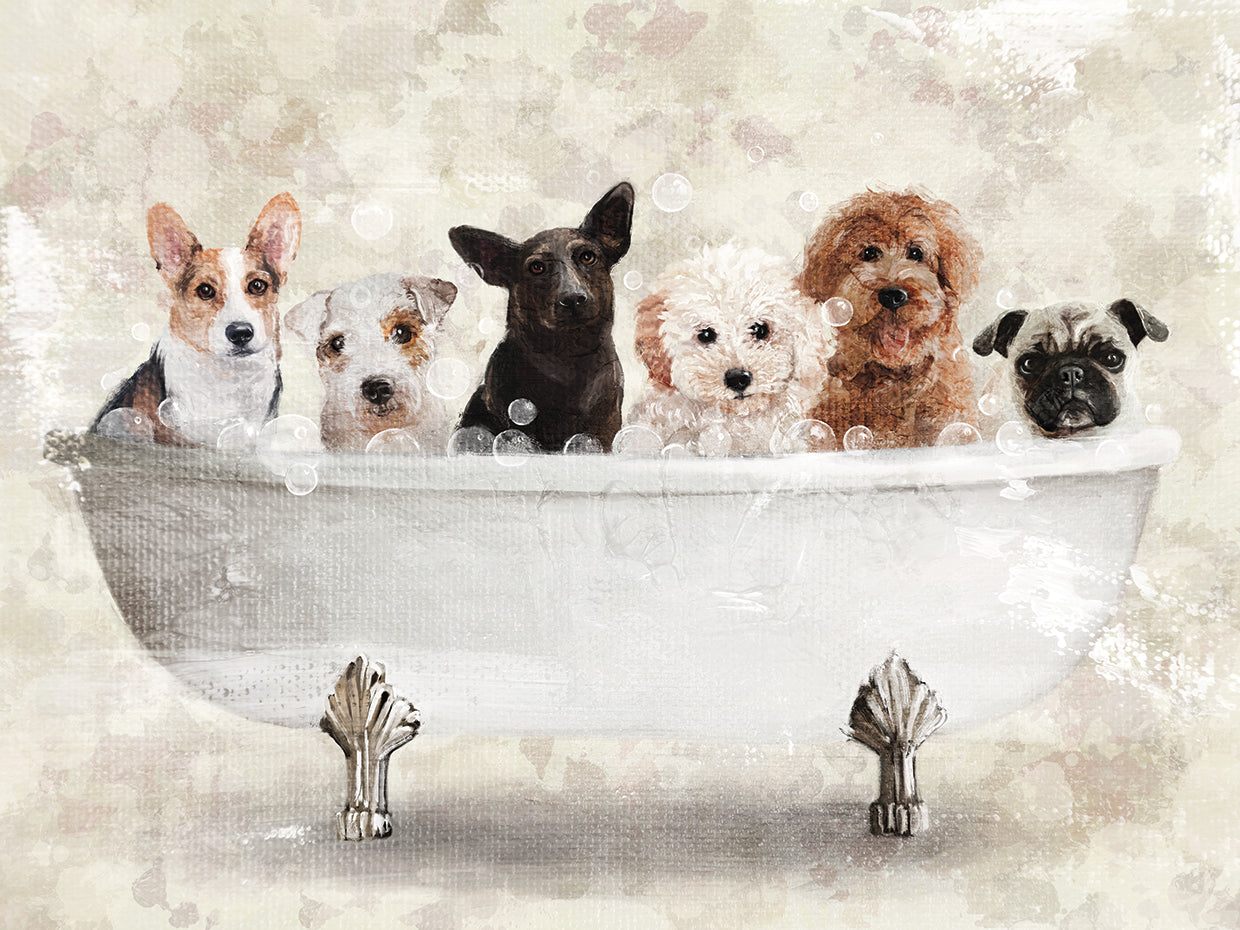 Bath Buddies