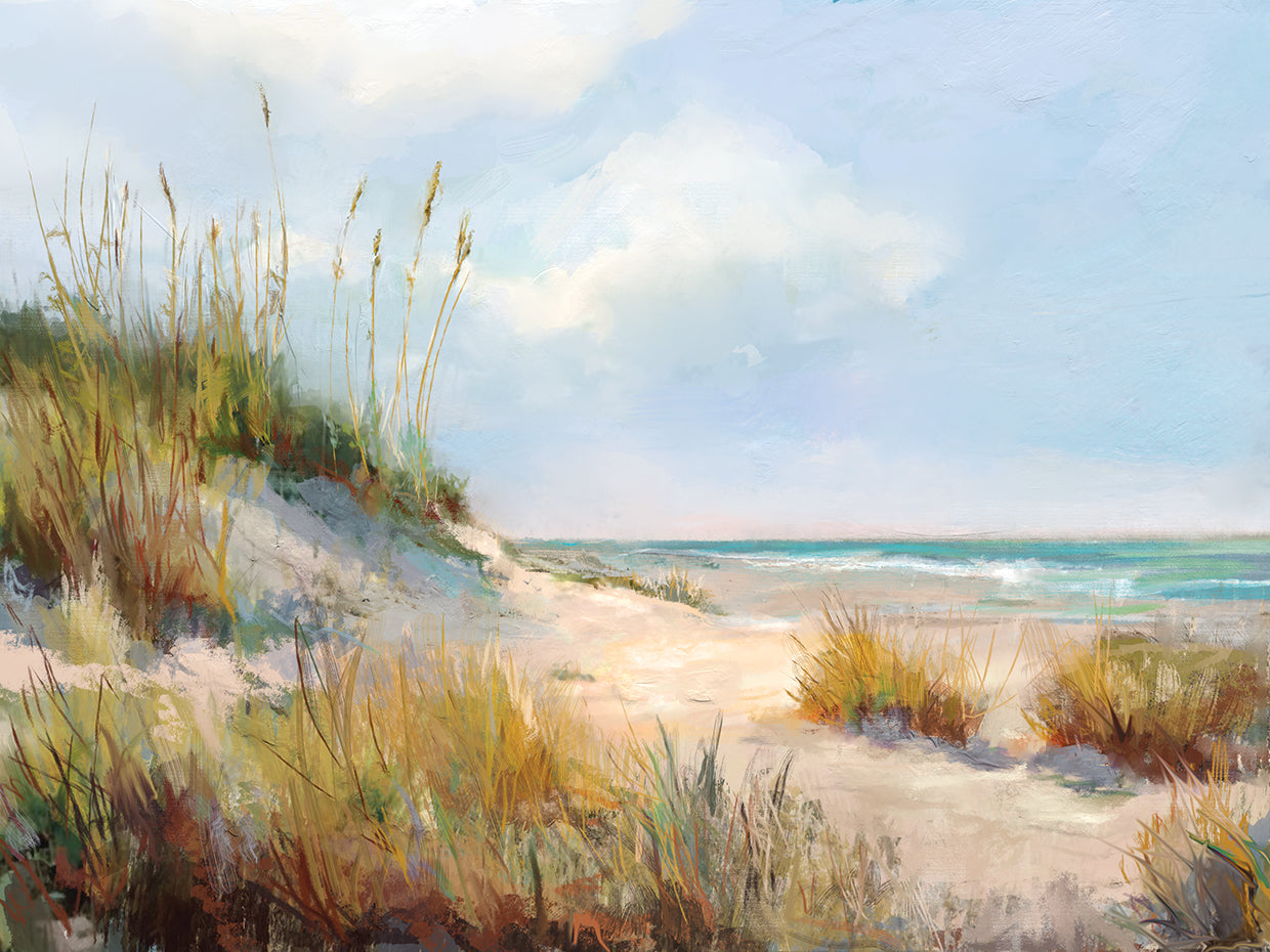 Late Day Dune Grasses