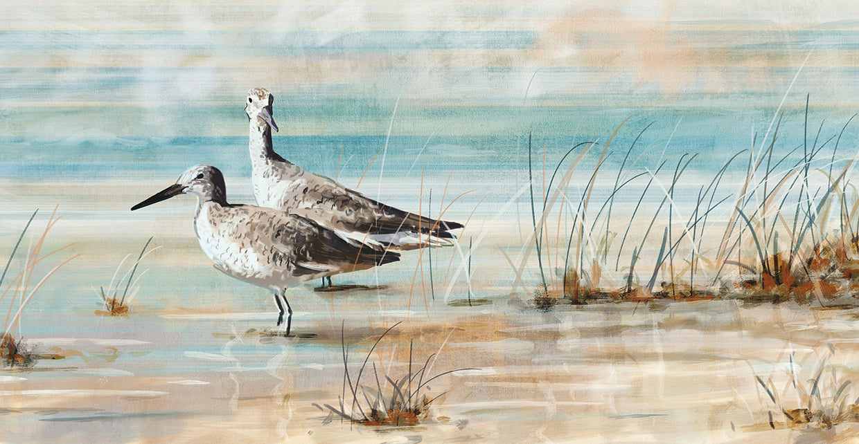 Shorebird Duet
