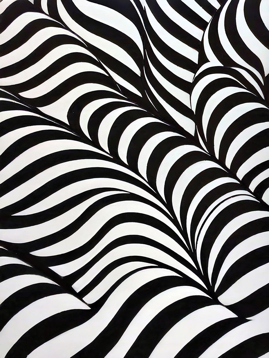 Black and White Abstract 1