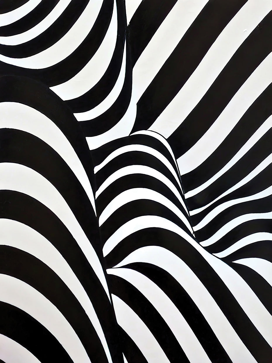 Black and White Abstract 4