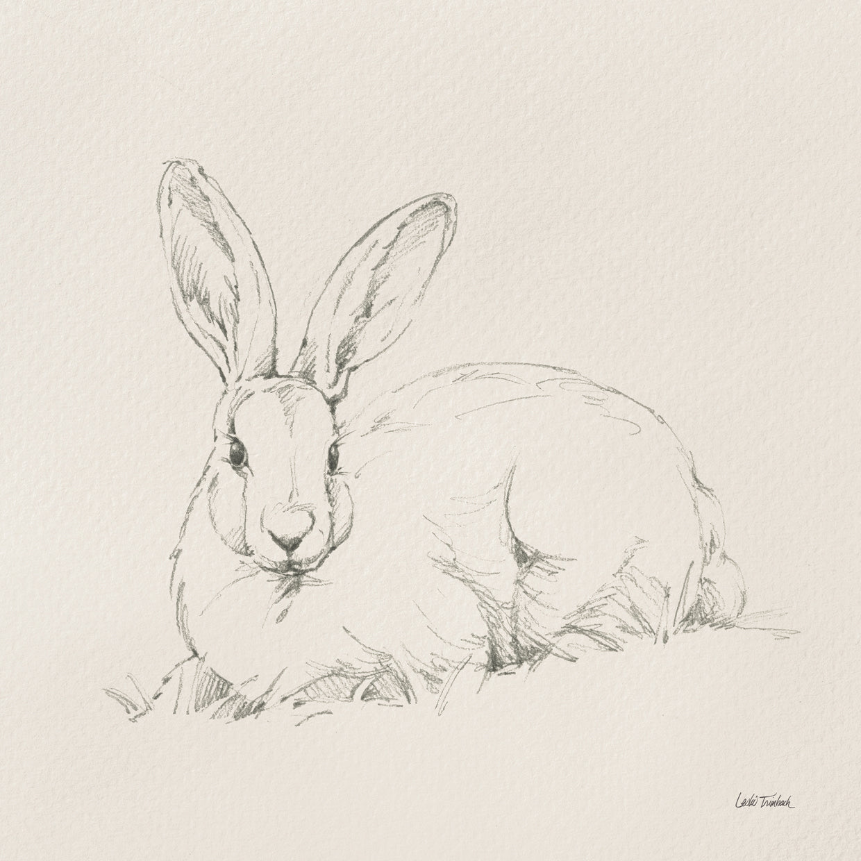 Graceful Rabbit II