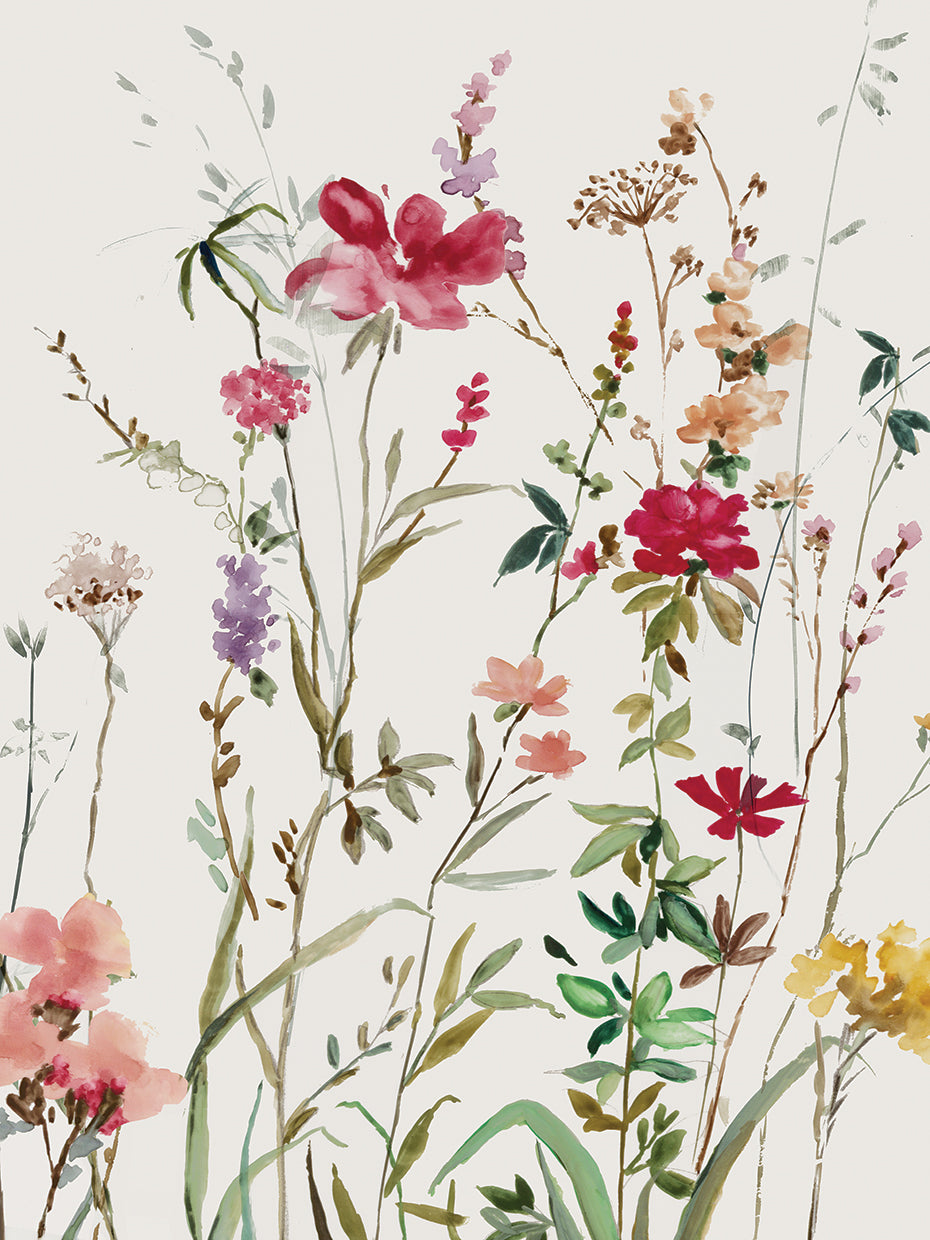 Pink Wild Flowers II