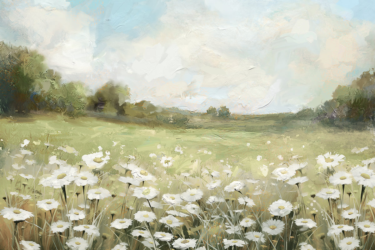 Daisy Day