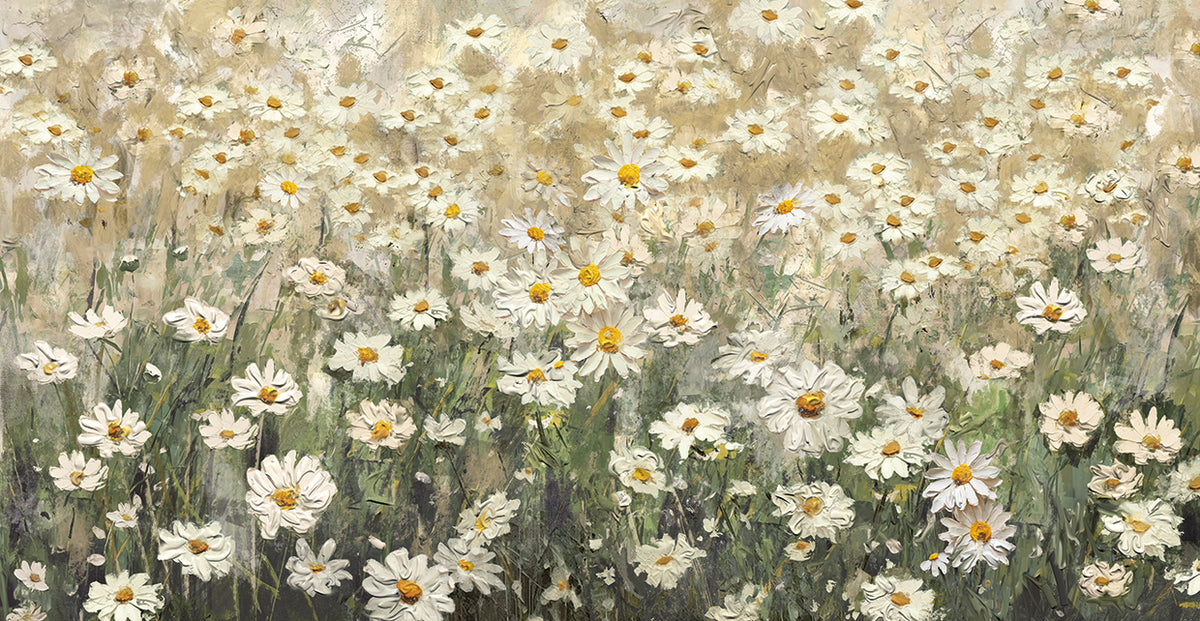 Daydream Daisies