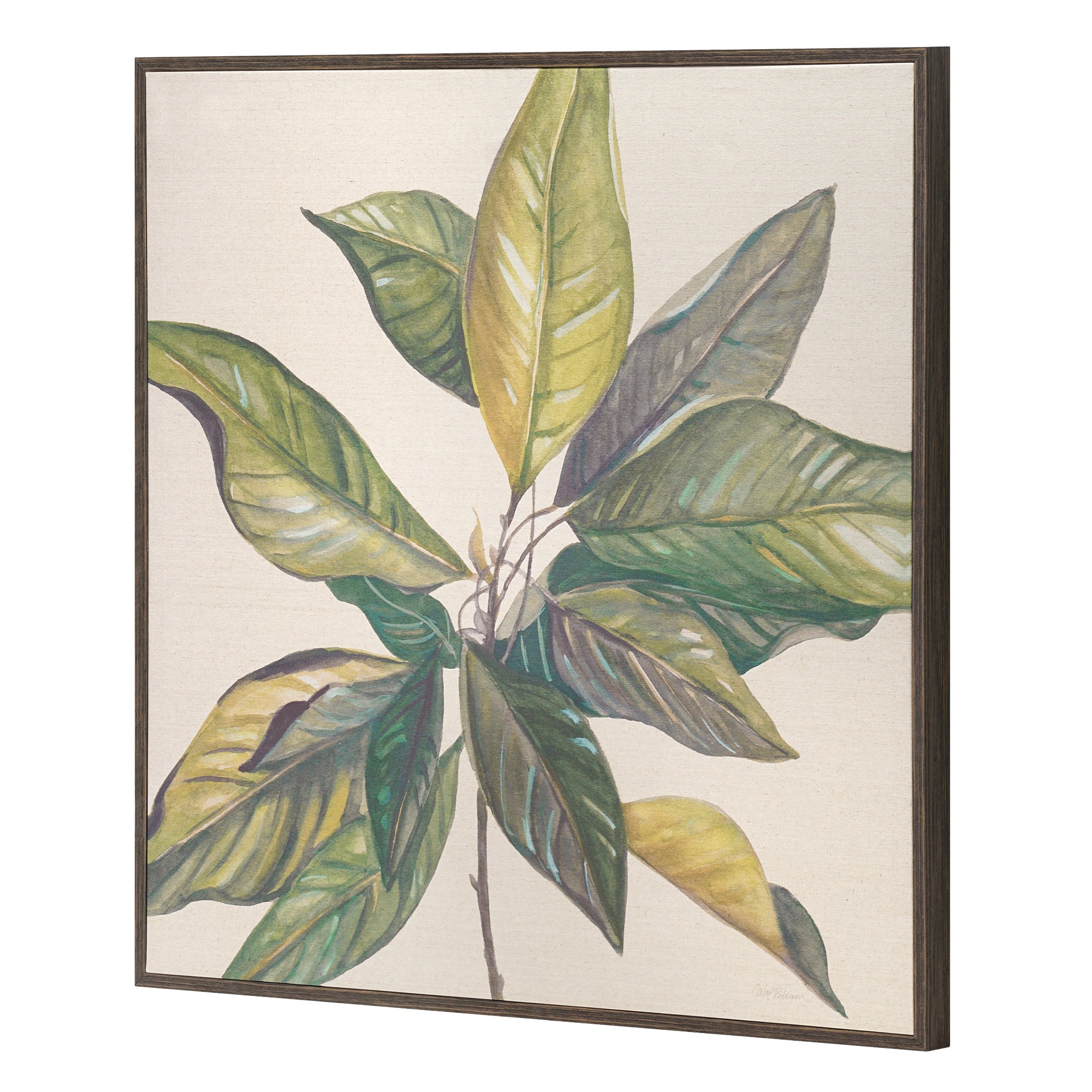 Linen - Magnolia Leaves I