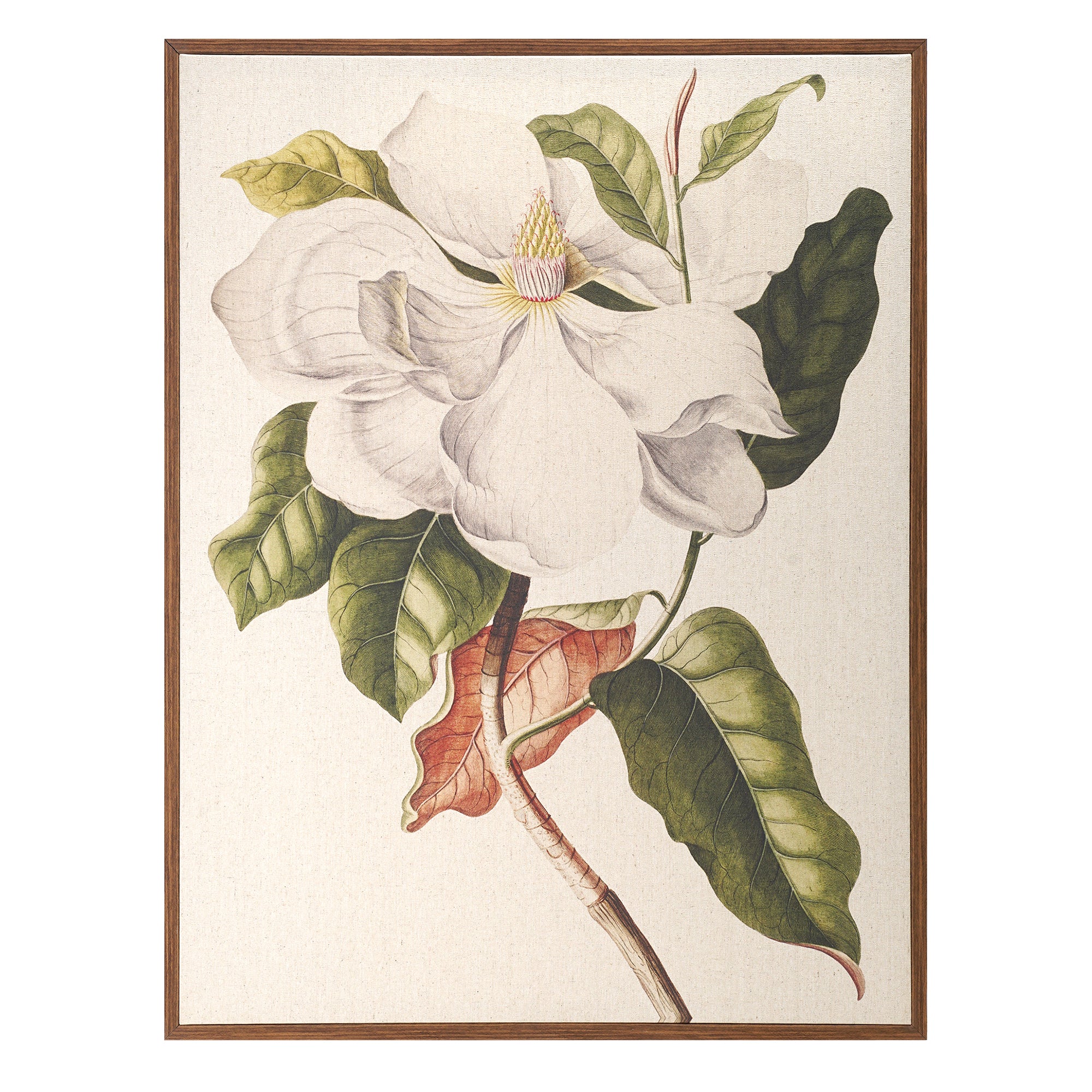 Linen - Southern Magnolia Crop Lite