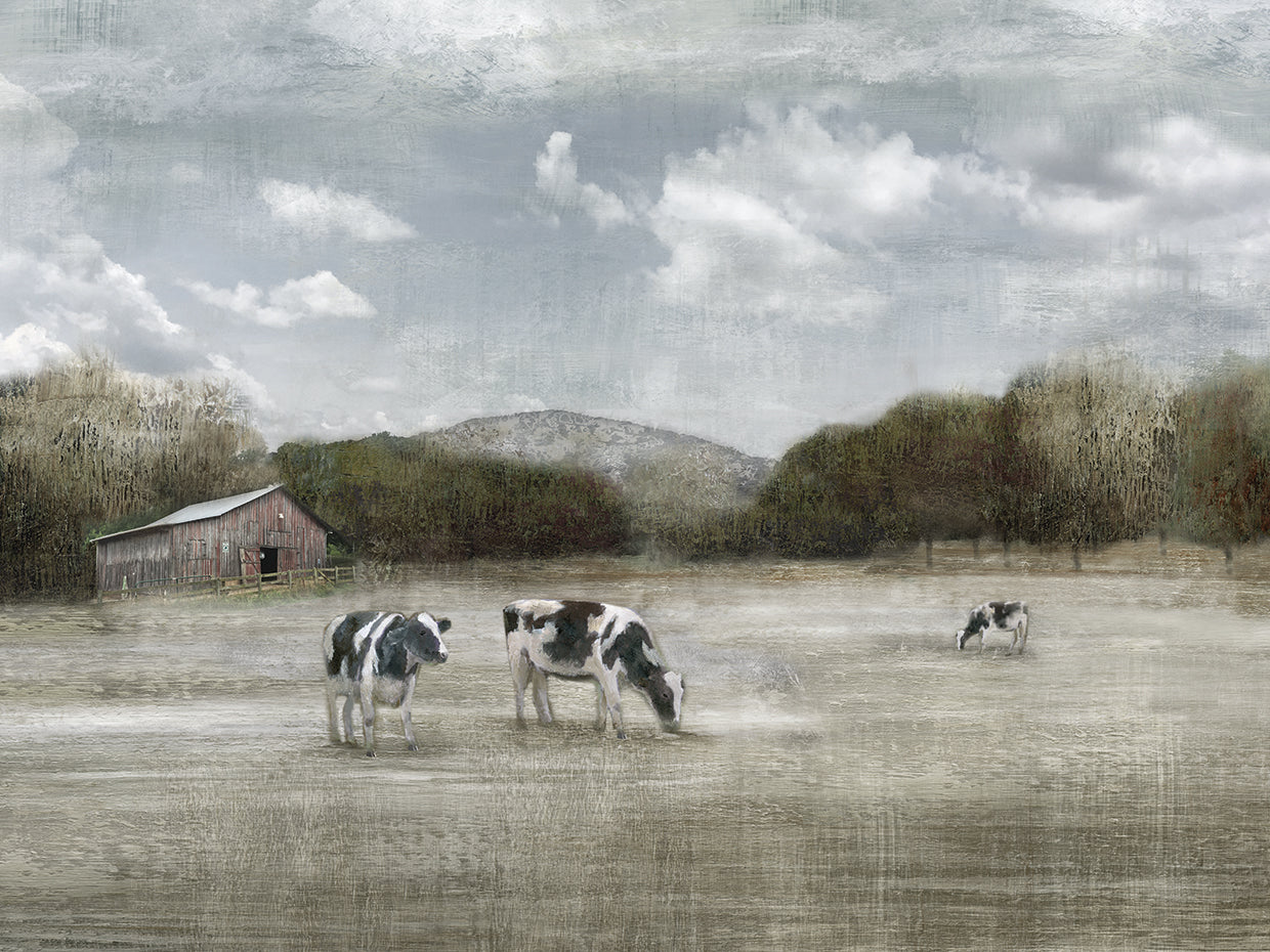 Country Satisfaction by Nan - top quality wall art work on large canvas & framed canvas prints