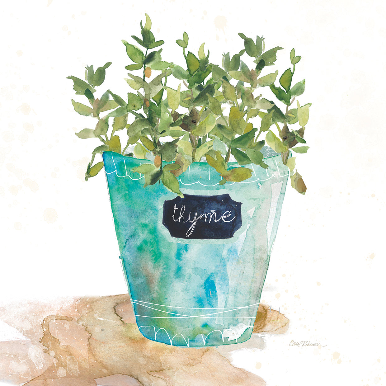 Potted Thyme by Carol Robinson - lowest price wall art work on large canvas & framed canvas prints