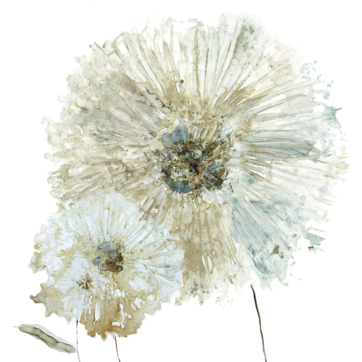 Ivory Spring I by Carol Robinson - best quality handcrafted wall art work on large canvas & framed canvas prints