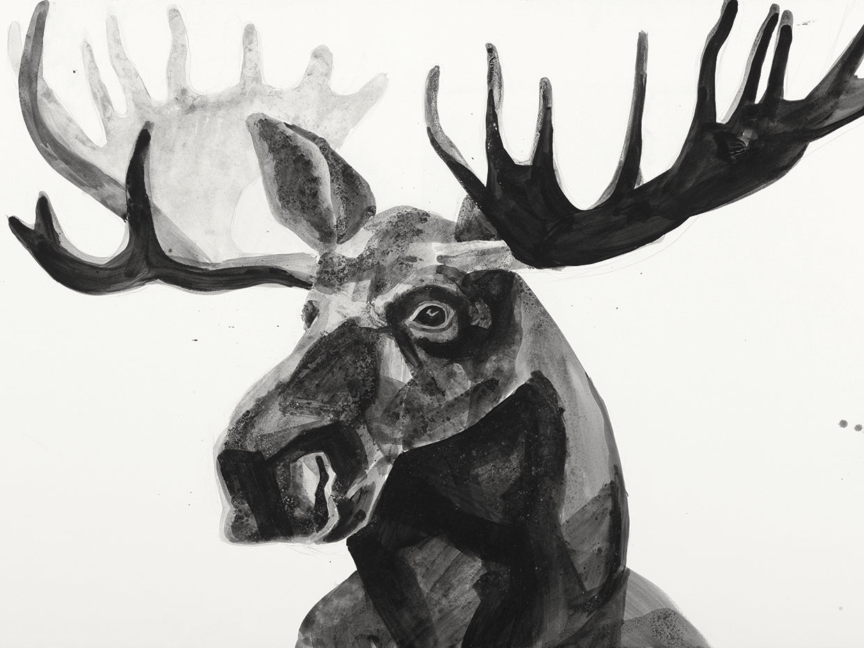 Watercolor Moose