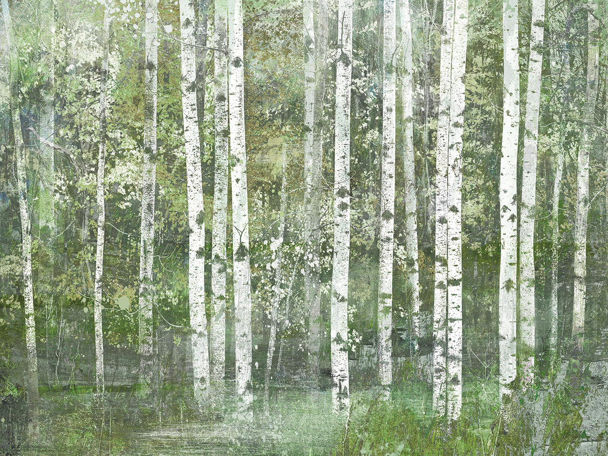 Birch Trees by Willowbrook Fine Art is a painterly and colorful landscape painting printed on canvas or framed canvas
