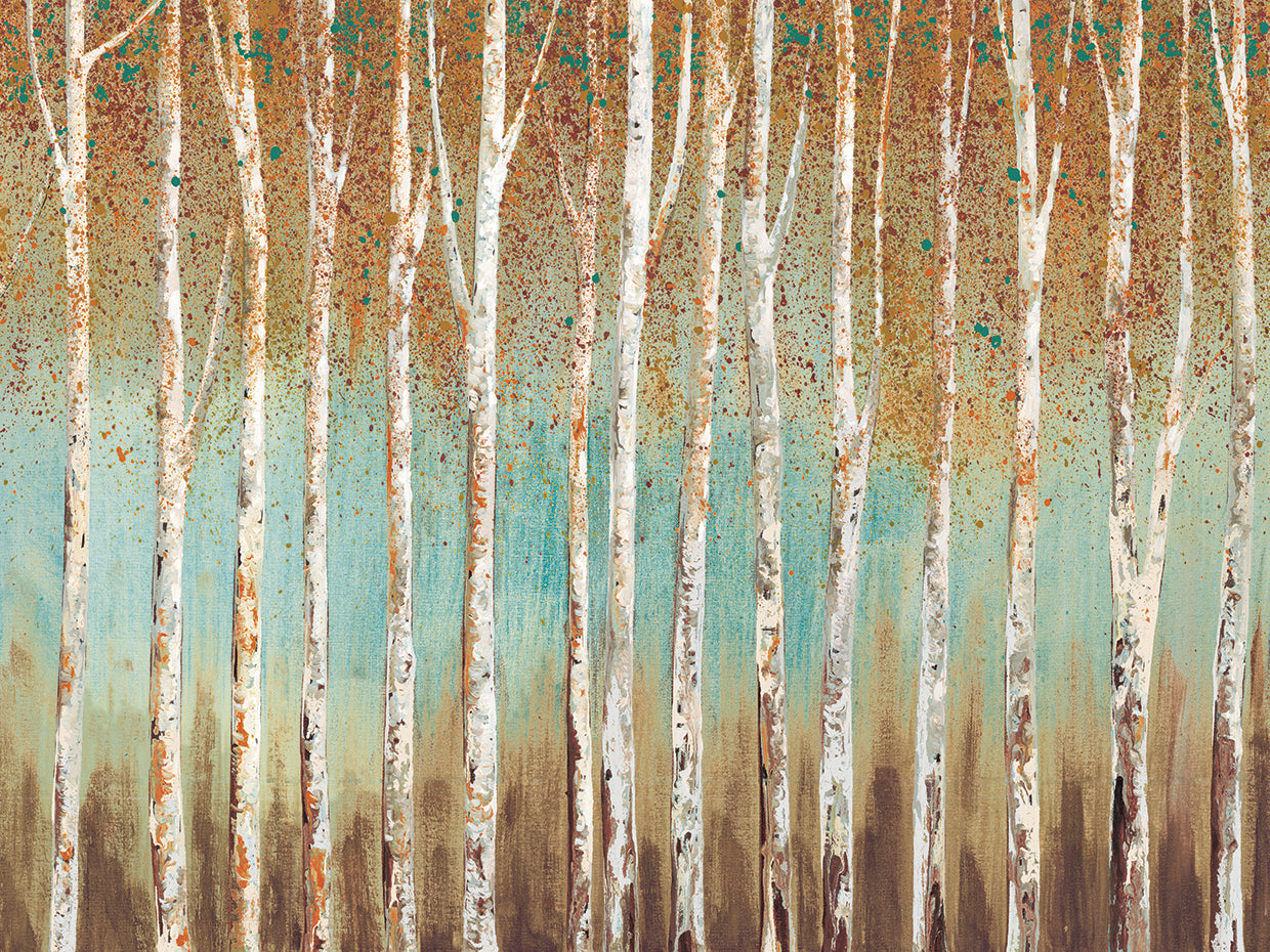 Birch Trees