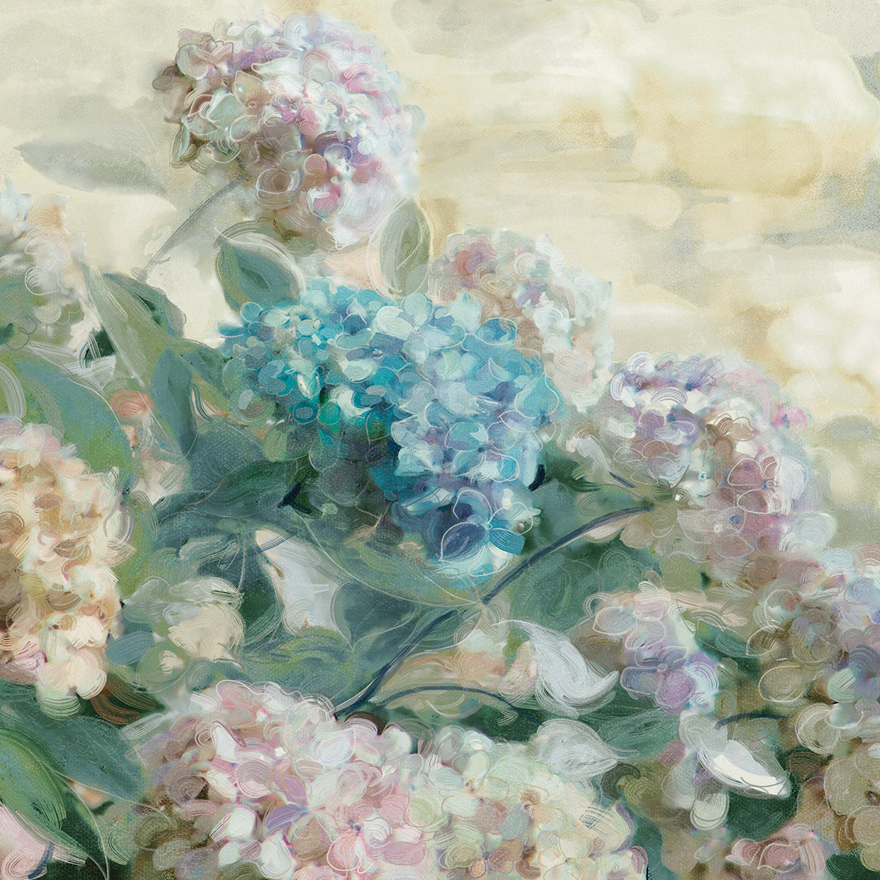 Hydrangeas