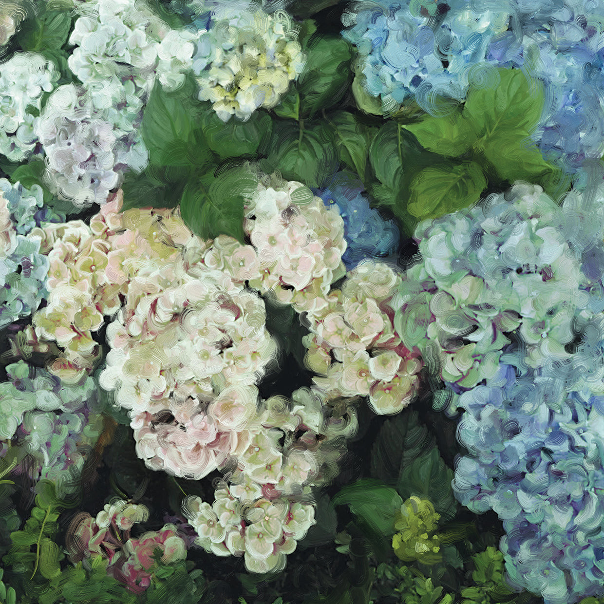 Hydrangea Garden Square