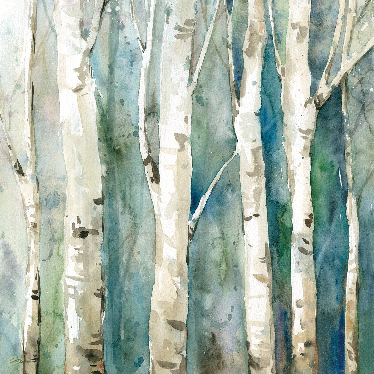 River Birch II by Carol Robinson is a forest landscape watercolor painting printed on canvas or framed canvas