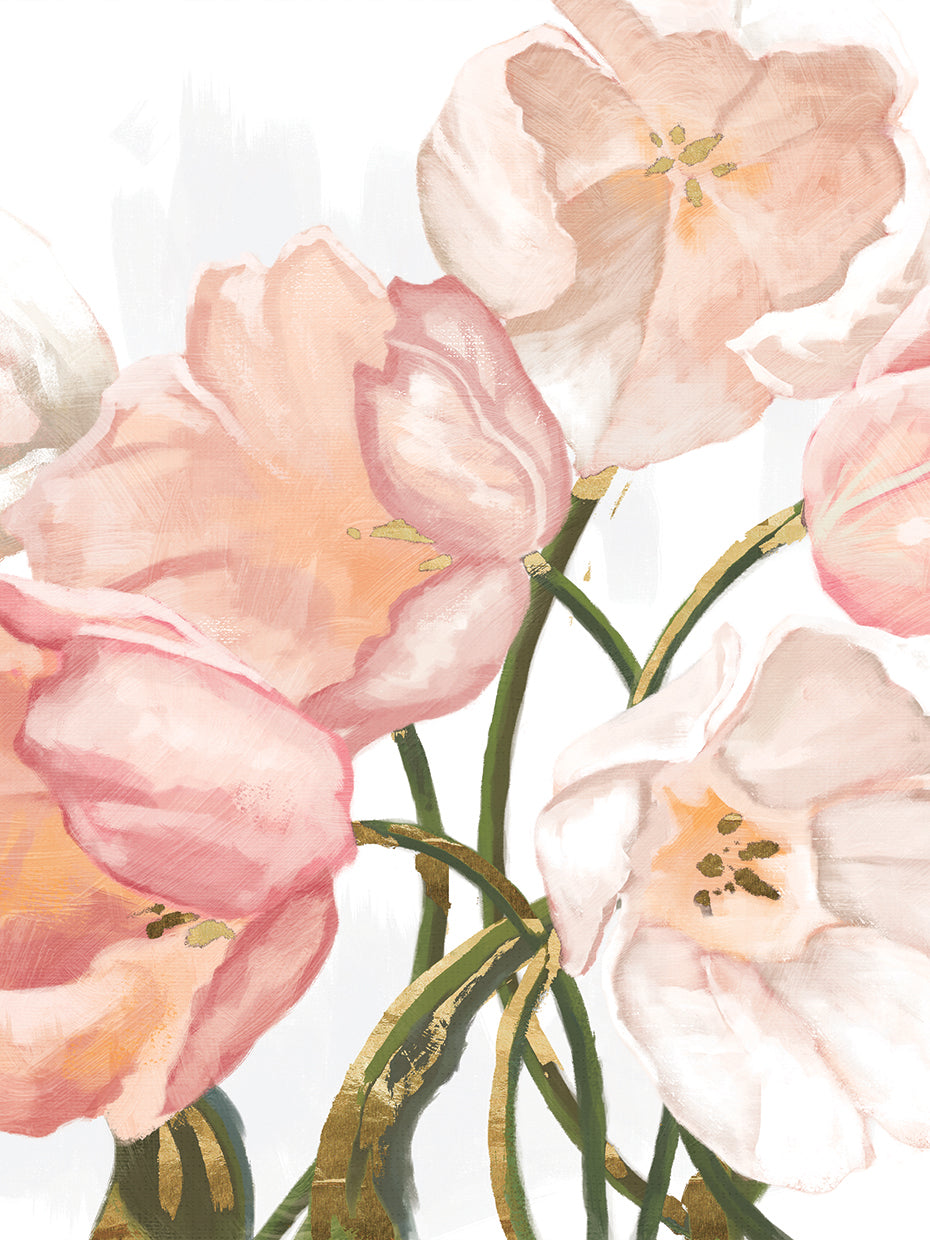 Pink Blush Tulips