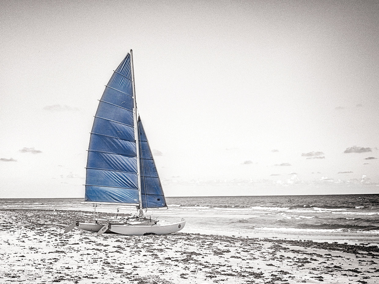Blue Catamaran B&W
