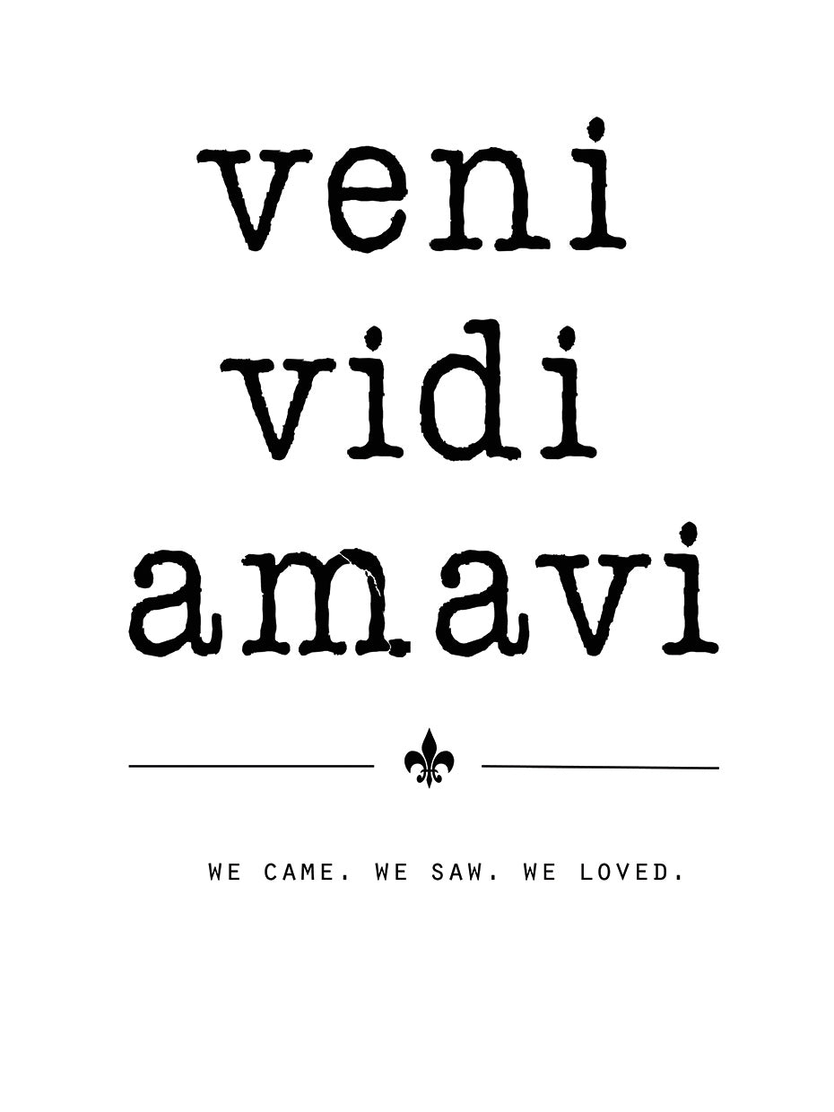 Veni Vidi Amavi by Jan Weiss - top quality wall art work on large canvas & framed canvas prints