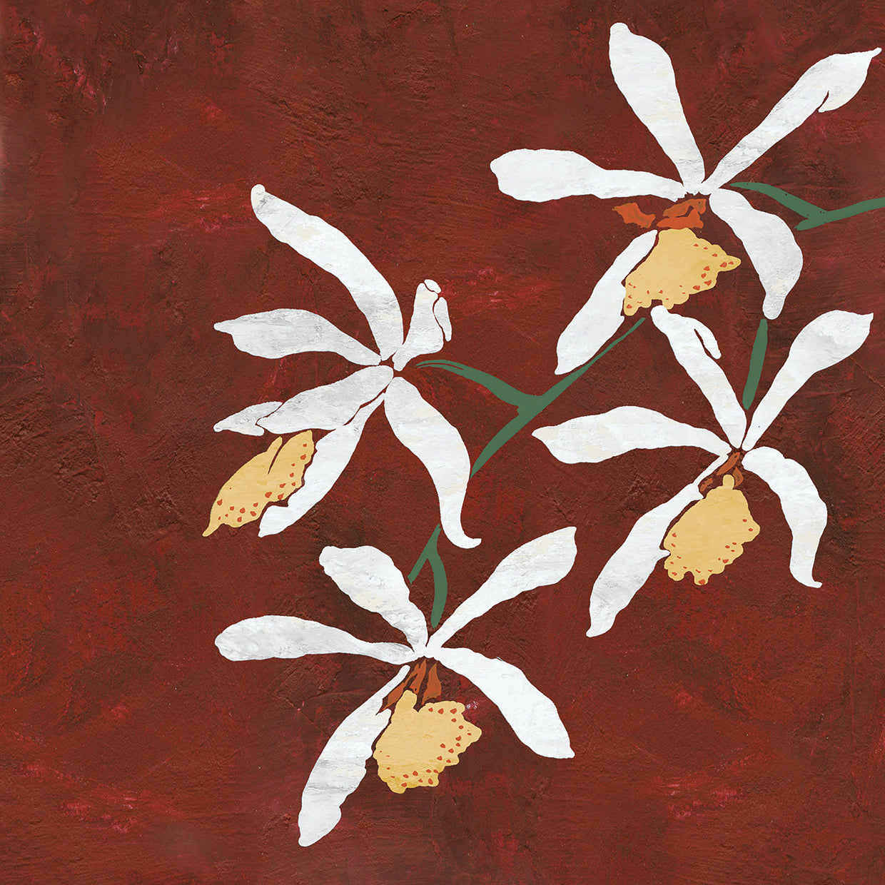 Collection Rouge Floral