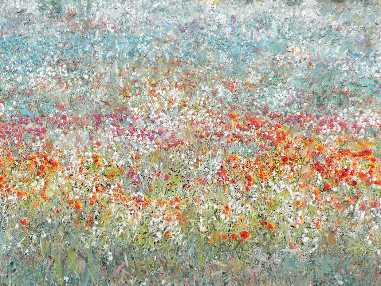 Flower Field